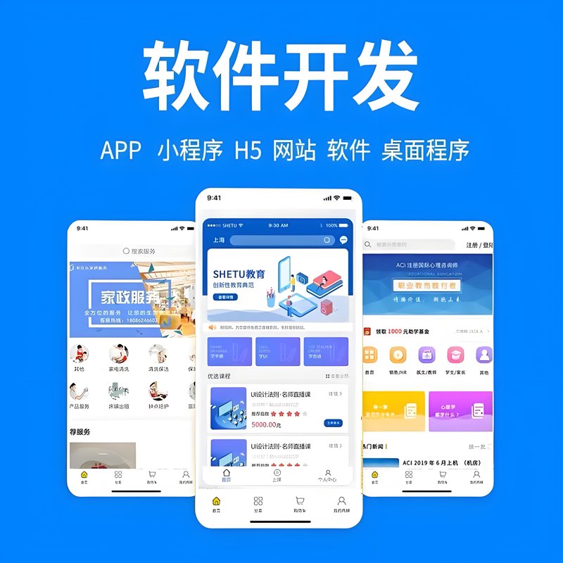 软件开发行业的浙江风华
